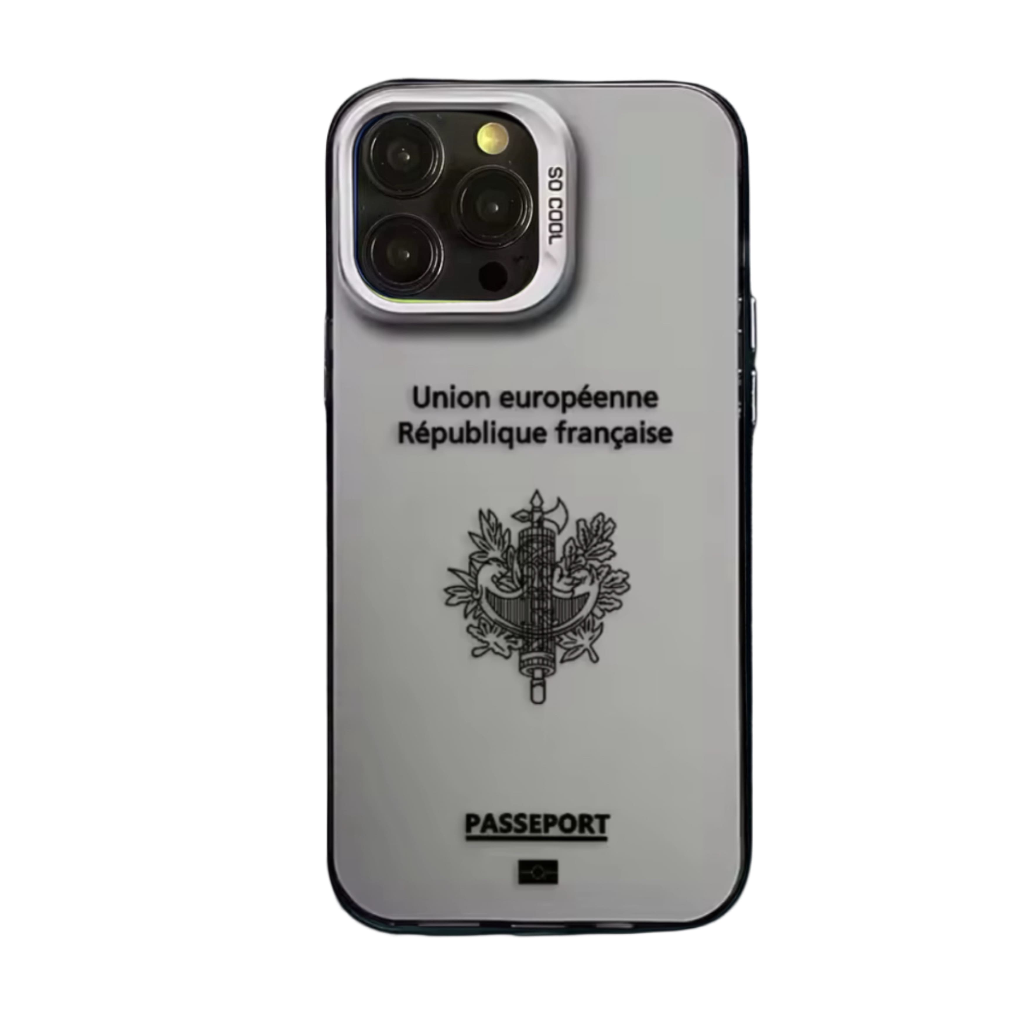 Coque Passeport France - Gris